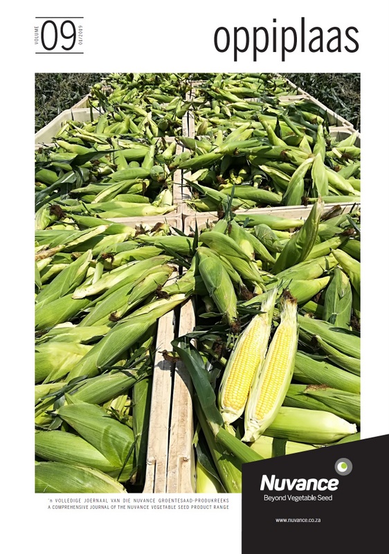 Vegetable